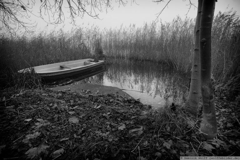 don-t-pay-the-ferryman-wolffsbilder-de